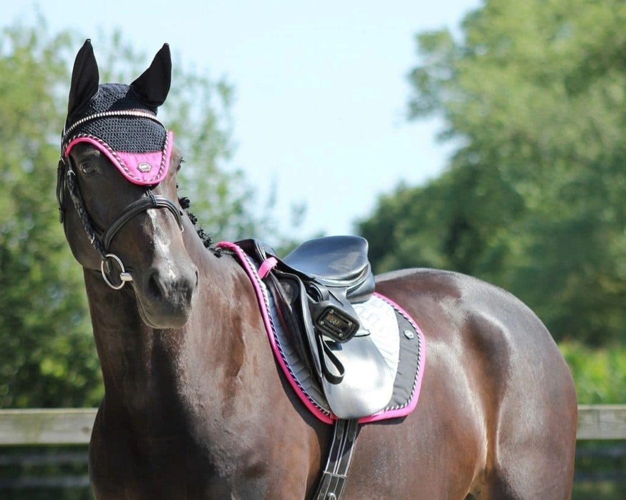 Low Cost Equestrian Equipment and Clothing Low Cost Equipment